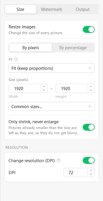 Picture Resize Genius Size tab
