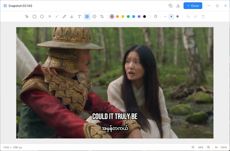 Video Snapshots Genius annotation editor with shape, arrow, text, mosaic, numbered marker and crop tools and a colour palette; faces in the picture are hidden with the mosaic tool