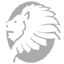 Lonking Logo